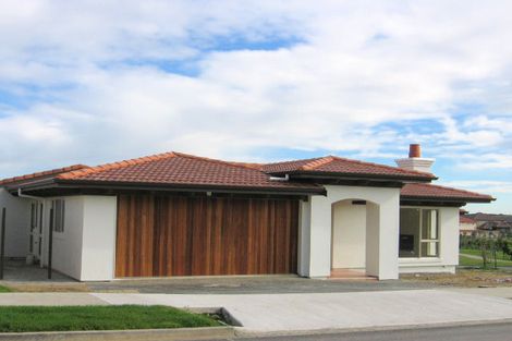 Photo of property in 99 Cyril French Drive, Flat Bush, Auckland, 2016