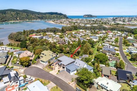 Photo of property in 133 Bruce Wallace Place, Whangamata, 3620