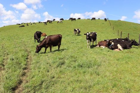 Photo of property in 888a Otaraoa Road, Tikorangi, Waitara, 4383