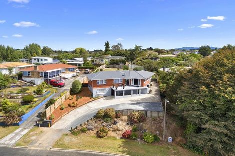 Photo of property in 17 Bledisloe Avenue, Putaruru, 3411