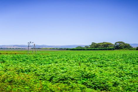 Photo of property in 375 Matawai Road, Waerengaahika, Gisborne, 4071