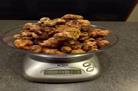 Photo of property in 118 Lachlan Avenue, Hawea Flat, Wanaka, 9382