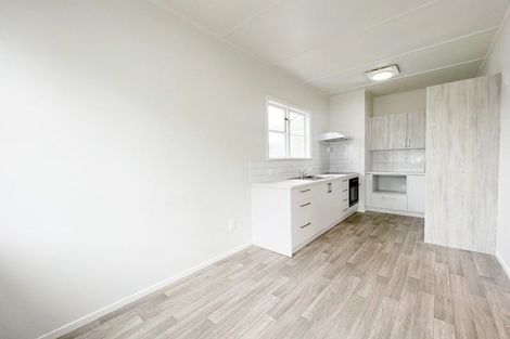 Photo of property in 66 Claude Street, Fairfield, Hamilton, 3214