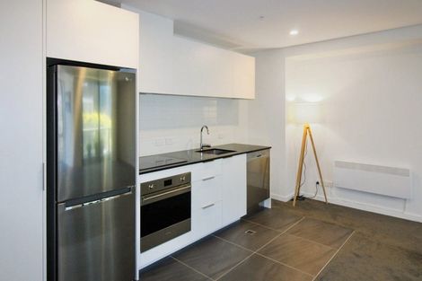 Photo of property in Pinnacle Apartments, E201/160 Victoria Street, Te Aro, Wellington, 6011