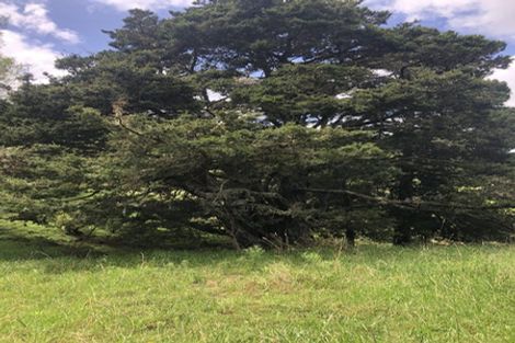 Photo of property in 725 Golden Stairs Road, Mareretu, Maungaturoto, 0589