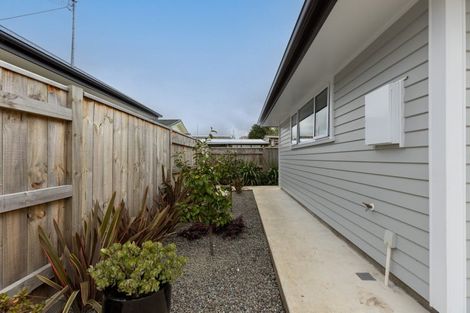 Photo of property in 53b Argyle Avenue, Takaro, Palmerston North, 4410