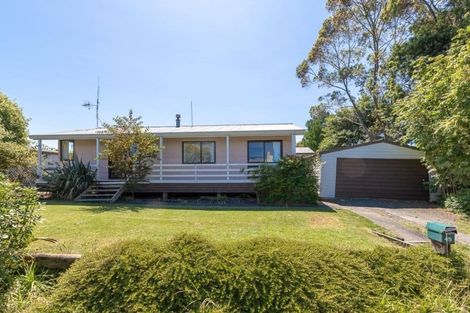 Photo of property in 45 Alison Street, Hamilton Lake, Hamilton, 3204