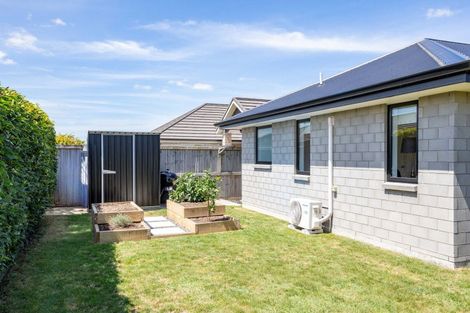 Photo of property in 21 Ruru Street, Cambridge, 3434