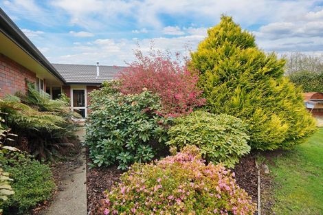 Photo of property in 420 Mcivor Road, Myross Bush, Invercargill, 9876
