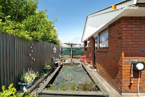 Photo of property in 13b Grove Street, Saint Kilda, Dunedin, 9012