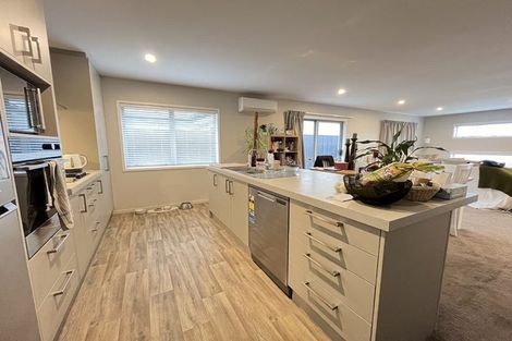 Photo of property in 20 Hannington Way, Rolleston, 7615