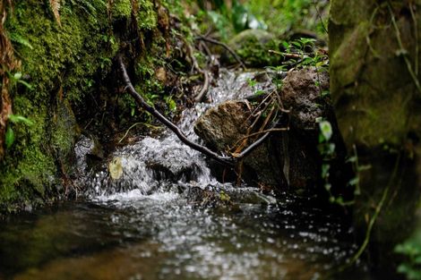 Photo of property in 1466 Russell Road, Helena Bay, Hikurangi, 0184