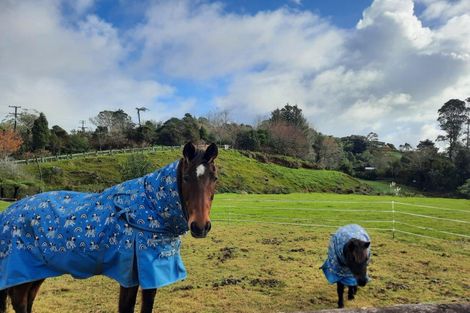 Photo of property in 65 Veale Road, Ridgewood, New Plymouth, 4371