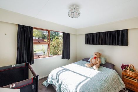 Photo of property in 3 Rangeview Place, Feilding, 4702