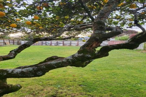 Photo of property in 1a Herrick Street, Marewa, Napier, 4110