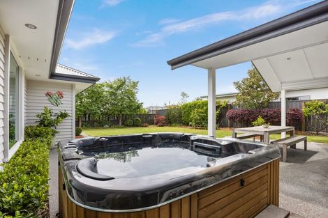 Photo of property in 29 Meissner Road, Havelock North, 4130