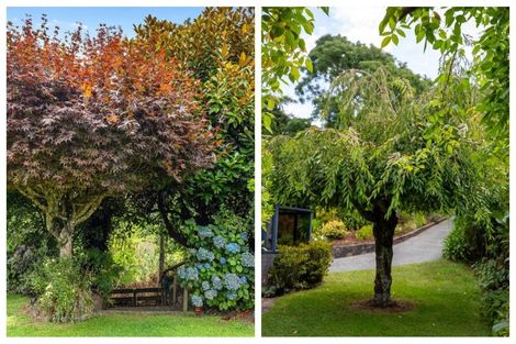 Photo of property in 7 Furniss Lane, Tauriko, Tauranga, 3110