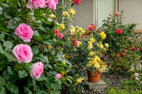 Photo of property in 247 Cheyne Road, Pyes Pa, Tauranga, 3112