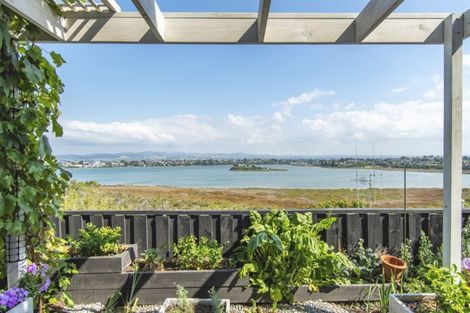 Photo of property in 62a Milton Road, Otumoetai, Tauranga, 3110