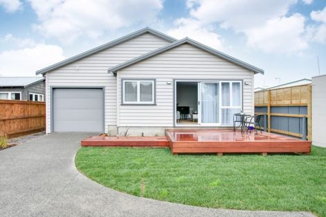 Photo of property in 11a Ashridge Road, Napier South, Napier, 4110