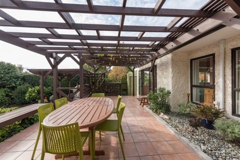 Photo of property in 17 Chelsea Avenue, Richmond, 7020