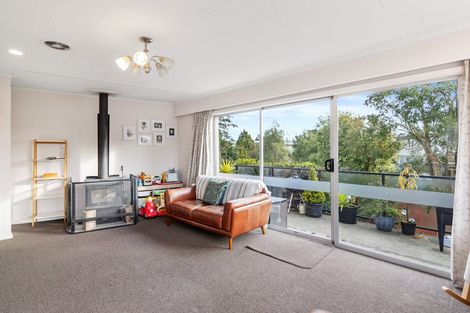 Photo of property in 7 Hawthorn Place, Gleniti, Timaru, 7910