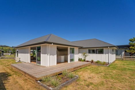 Photo of property in 43 Longreach Drive, Cooks Beach, Whitianga, 3591