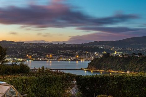 Photo of property in 19 Merchiston Street, Andersons Bay, Dunedin, 9013