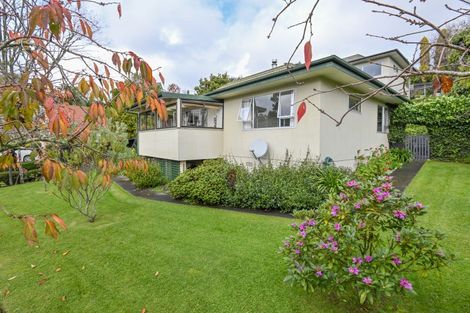 Photo of property in 17 Muritai Crescent, Havelock North, 4130