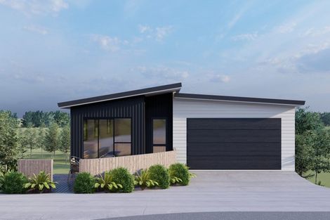 Photo of property in 25 Parklands Avenue, Mangawhai Heads, Mangawhai, 0505