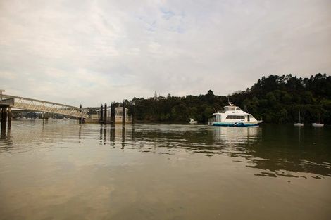 Photo of property in 9 Golden Fall Road, Hobsonville, 0616