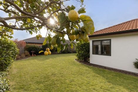 Photo of property in 91 Kahira Crescent, Papamoa Beach, Papamoa, 3118