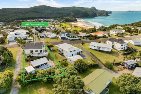 Photo of property in 441 Onemana Drive, Onemana, Whangamata, 3691