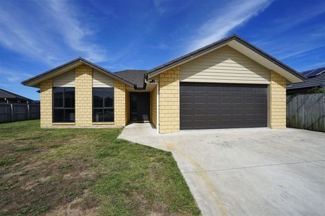Photo of property in 28 Kawariki Drive, Baverstock, Hamilton, 3200