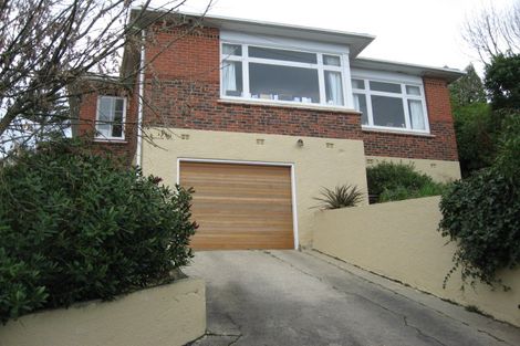 Photo of property in 14 Coney Hill Road, Saint Clair, Dunedin, 9012