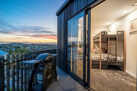 Photo of property in 20 Barrington Road, Grey Lynn, Auckland, 1021