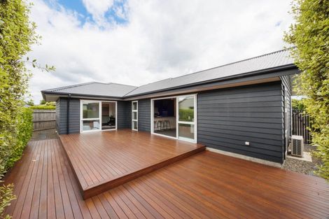 Photo of property in 35a Ward Street, Palmerston North, 4410