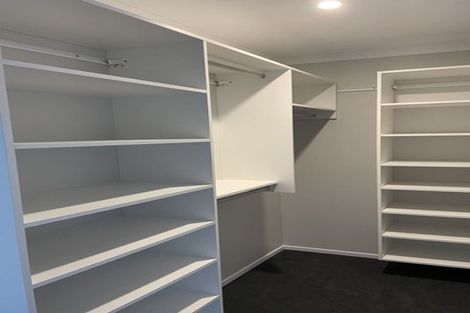 Photo of property in 34 Nile Street, Waterloo, Lower Hutt, 5011