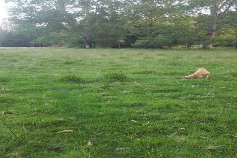 Photo of property in 84 Rigden Road, Opua, 0272