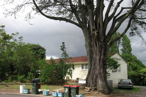 Photo of property in 6/22 Beatrix Street, Avondale, Auckland, 1026