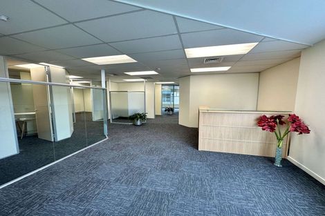 Photo of property in 8a Madeira Lane, Grafton, Auckland, 1023