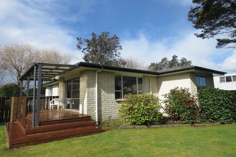 Photo of property in 171 Ward Street, Hargest, Invercargill, 9810