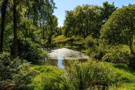 Photo of property in 173 Thompsons Track, Aongatete, Katikati, 3178