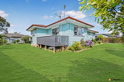Photo of property in 12 Hinerau Street, Henderson, Auckland, 0612