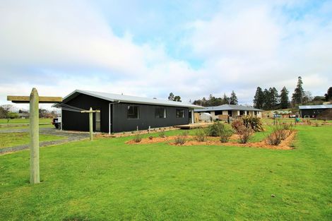 Photo of property in 51 Brough Street, Palmerston, 9430