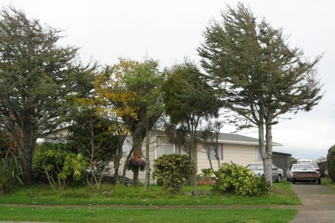 Photo of property in 145 Cracroft Street, Waitara, 4320