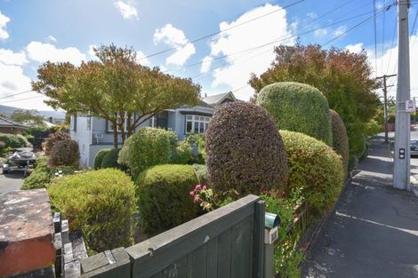 Photo of property in 53 Signal Hill Road, Opoho, Dunedin, 9010