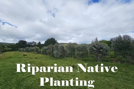 Photo of property in 1296 Wekaweka Road, Waimamaku, Kaikohe, 0473