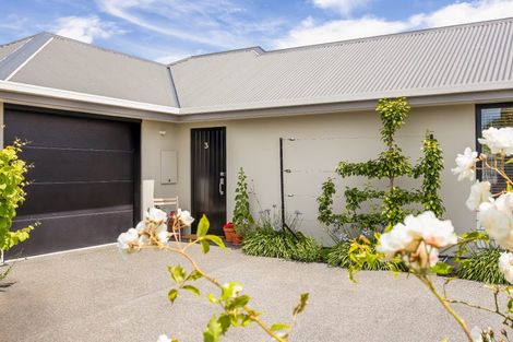 Photo of property in 3/57 Saint Martins Road, Saint Martins, Christchurch, 8022