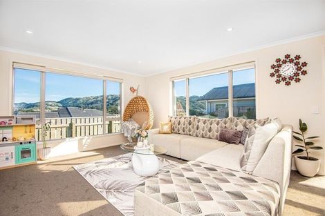 Photo of property in 127 John Burke Drive, Aotea, Porirua, 5024